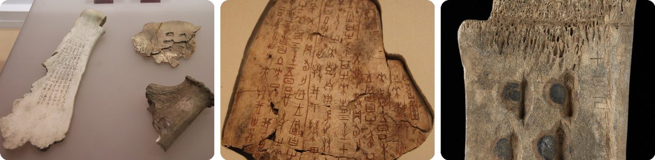 Oracle bones