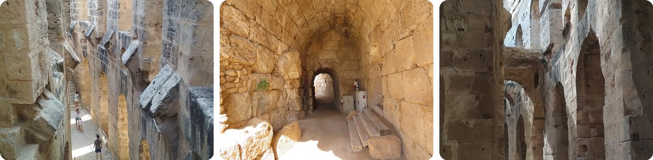 Vomitorium