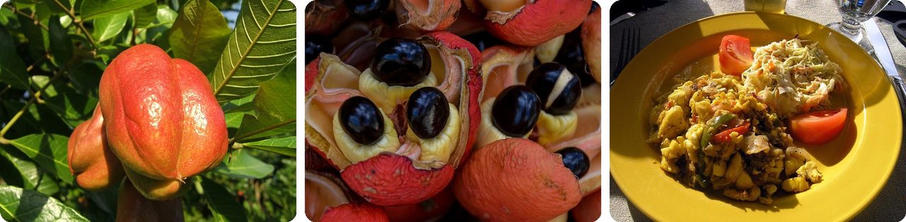 Ackee