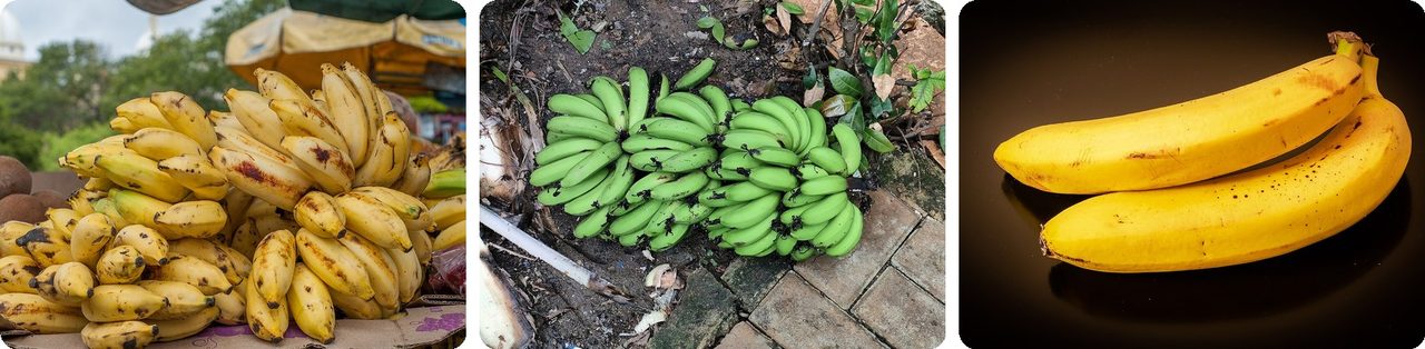 Bananas