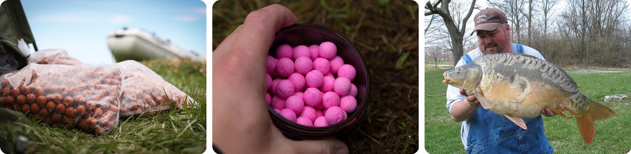 Carp boilies