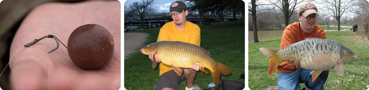 Hair rig and carp