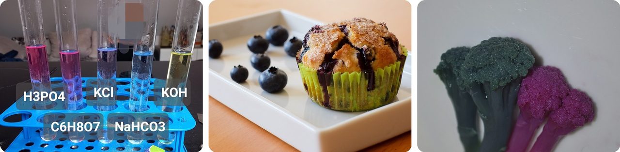 Red cabbage and purple cauliflower changing color with pH, and a blueberry muffin