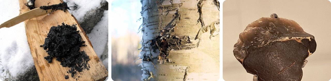 Birch bark pitch, birch bark and a Stone Age tool glued with pitch