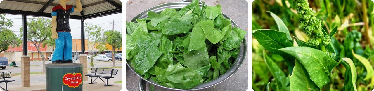 A Popeye statue in Crystal City, Texas, and fresh spinach