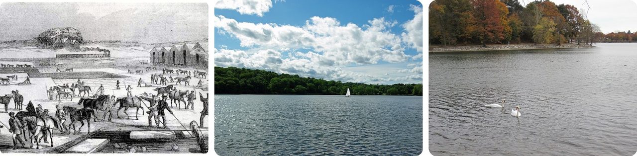 An 1850s Massachusetts ice harvest, and Jamaica Pond today