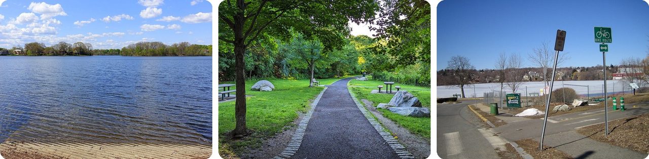 Spy Pond in Arlington, its lakeside path, and the bike path beside it