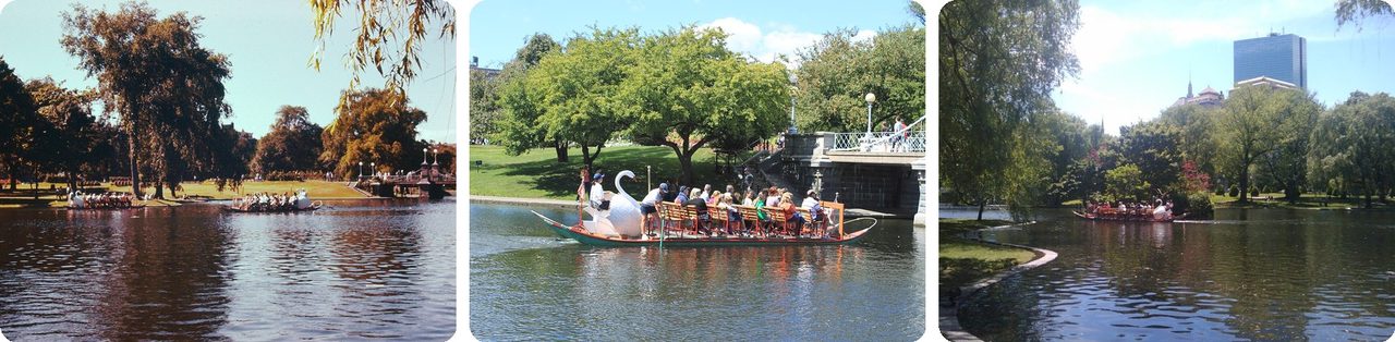 Swan Boats on the Public Garden lagoon in the 1950s and today