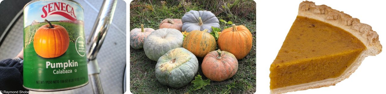 Canned pumpkin, pumpkins and squash, and a slice of pumpkin pie